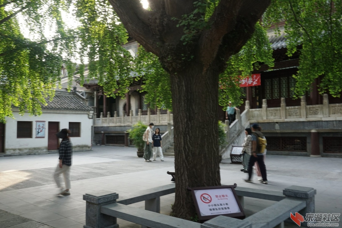 DSC00696.JPG