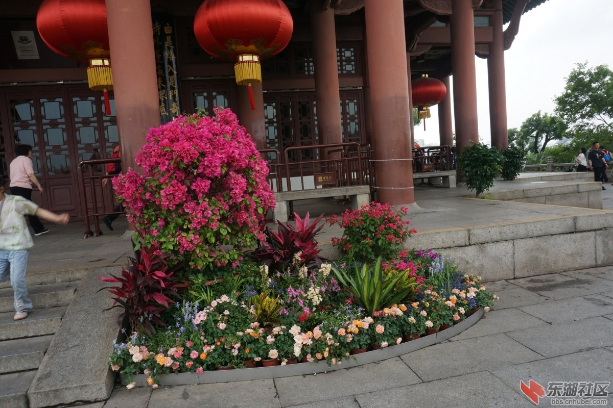 DSC01201.JPG