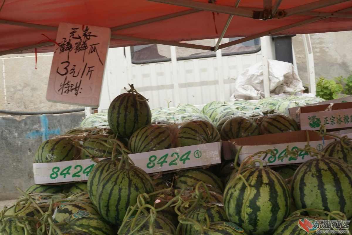 DSC08360.JPG