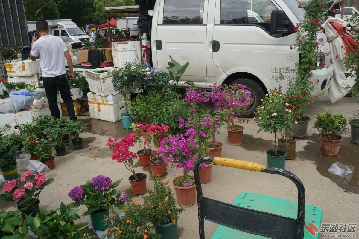 DSC08649.JPG