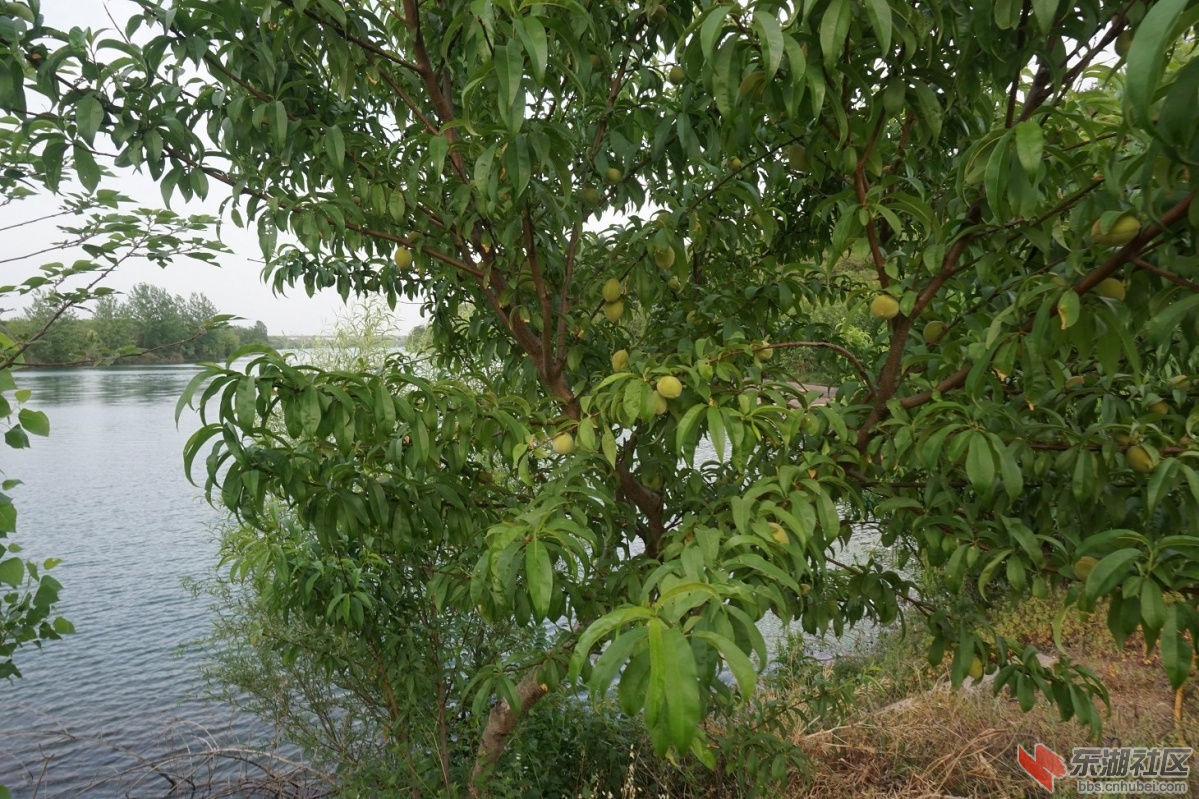 DSC08235.JPG