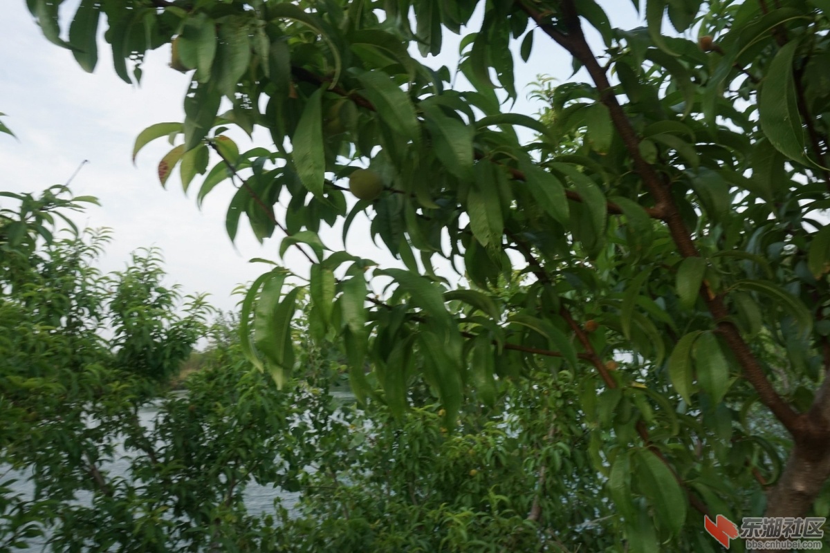 DSC08233.JPG