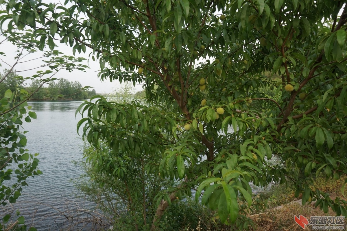 DSC08238.JPG