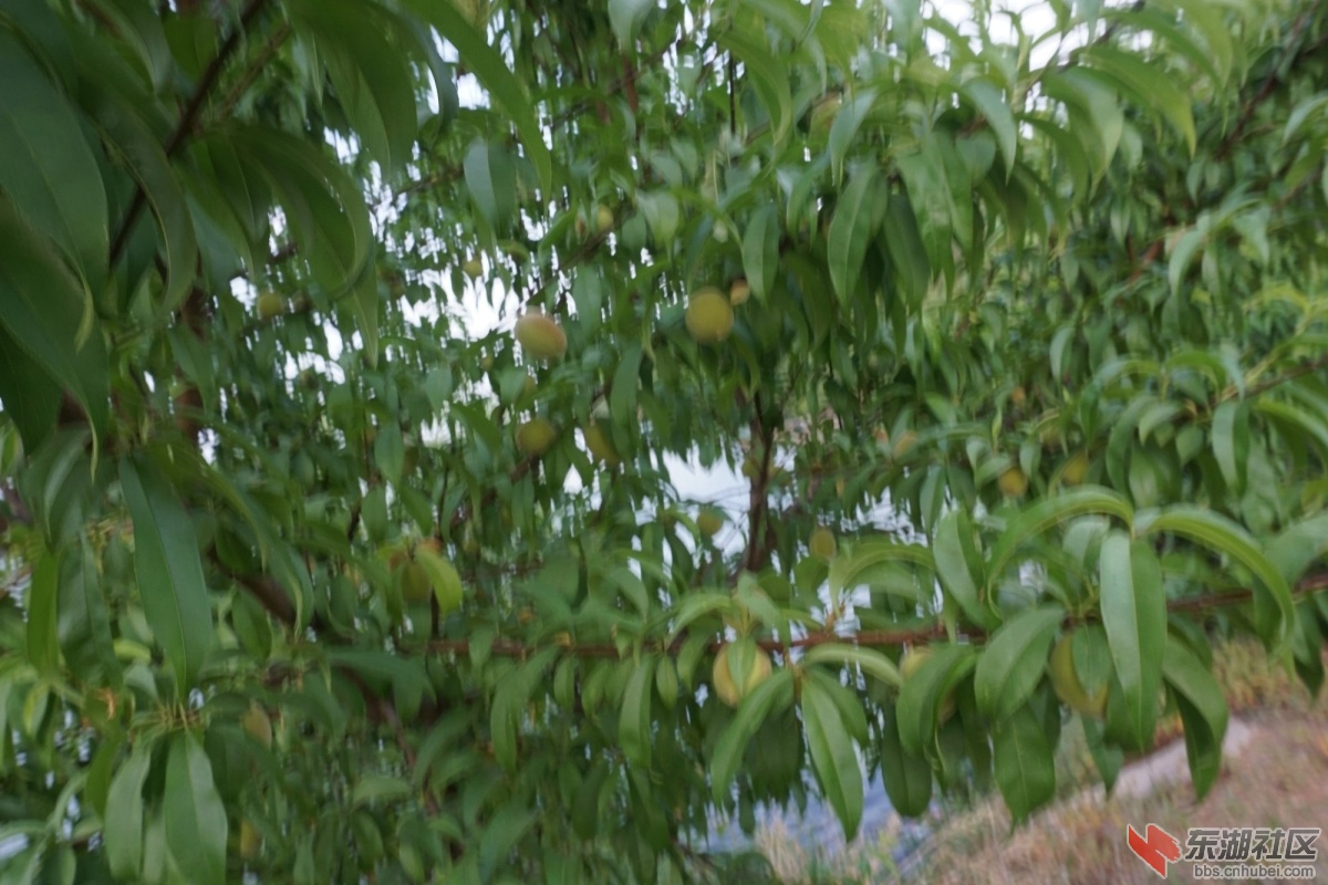 DSC08245.JPG