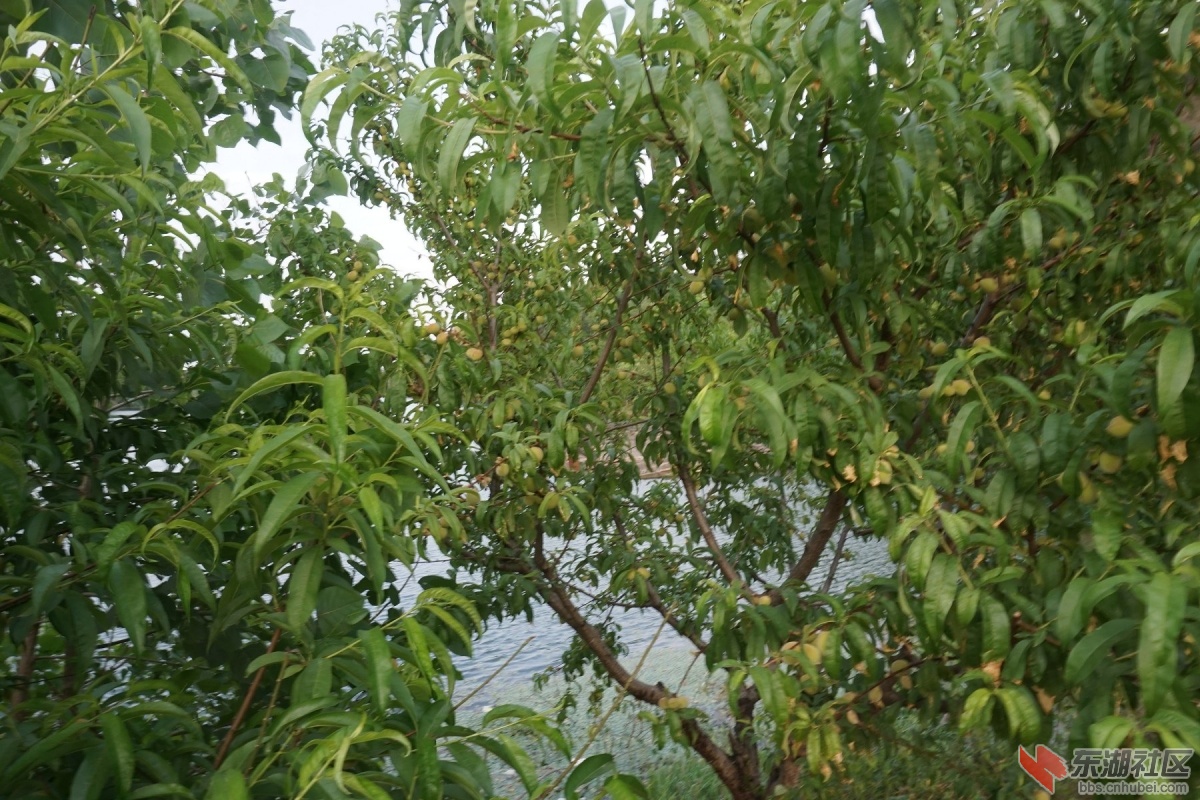 DSC08256.JPG