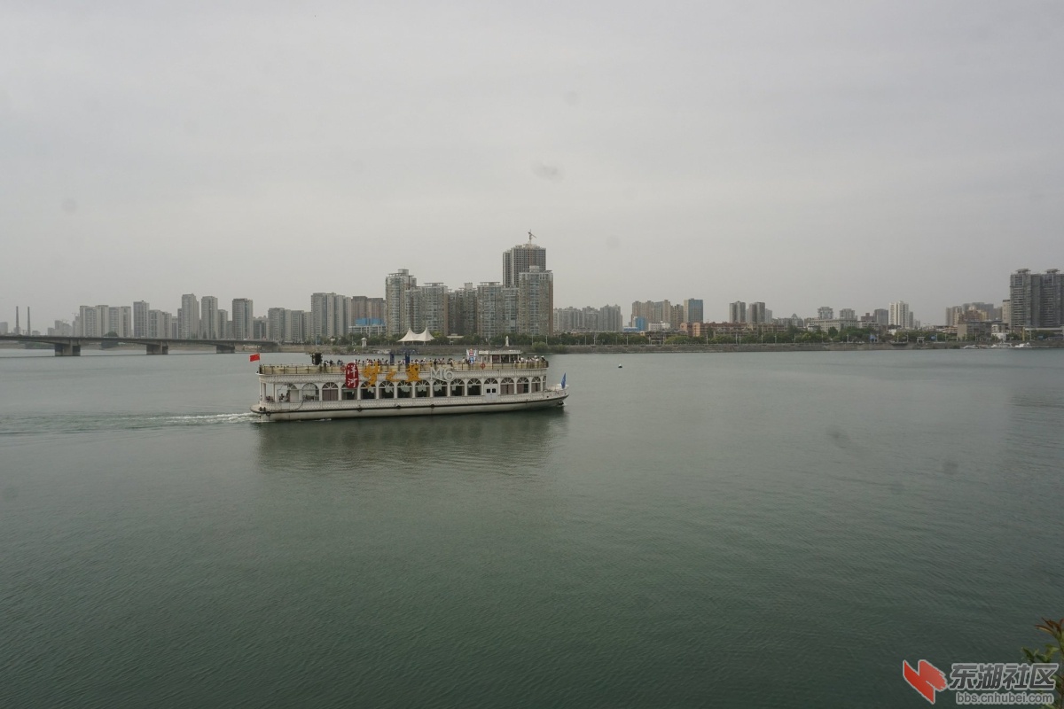 DSC07667.JPG