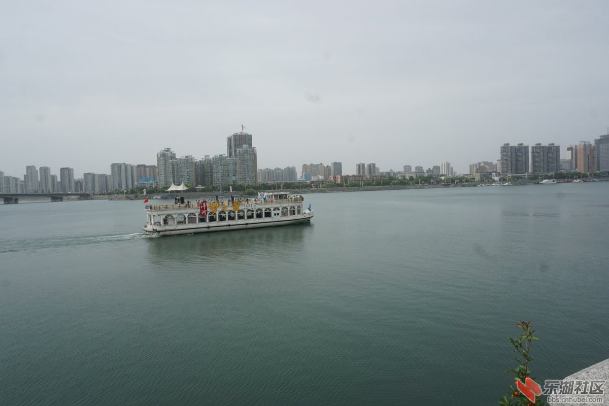 DSC07672.JPG