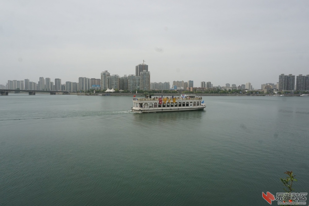 DSC07674.JPG