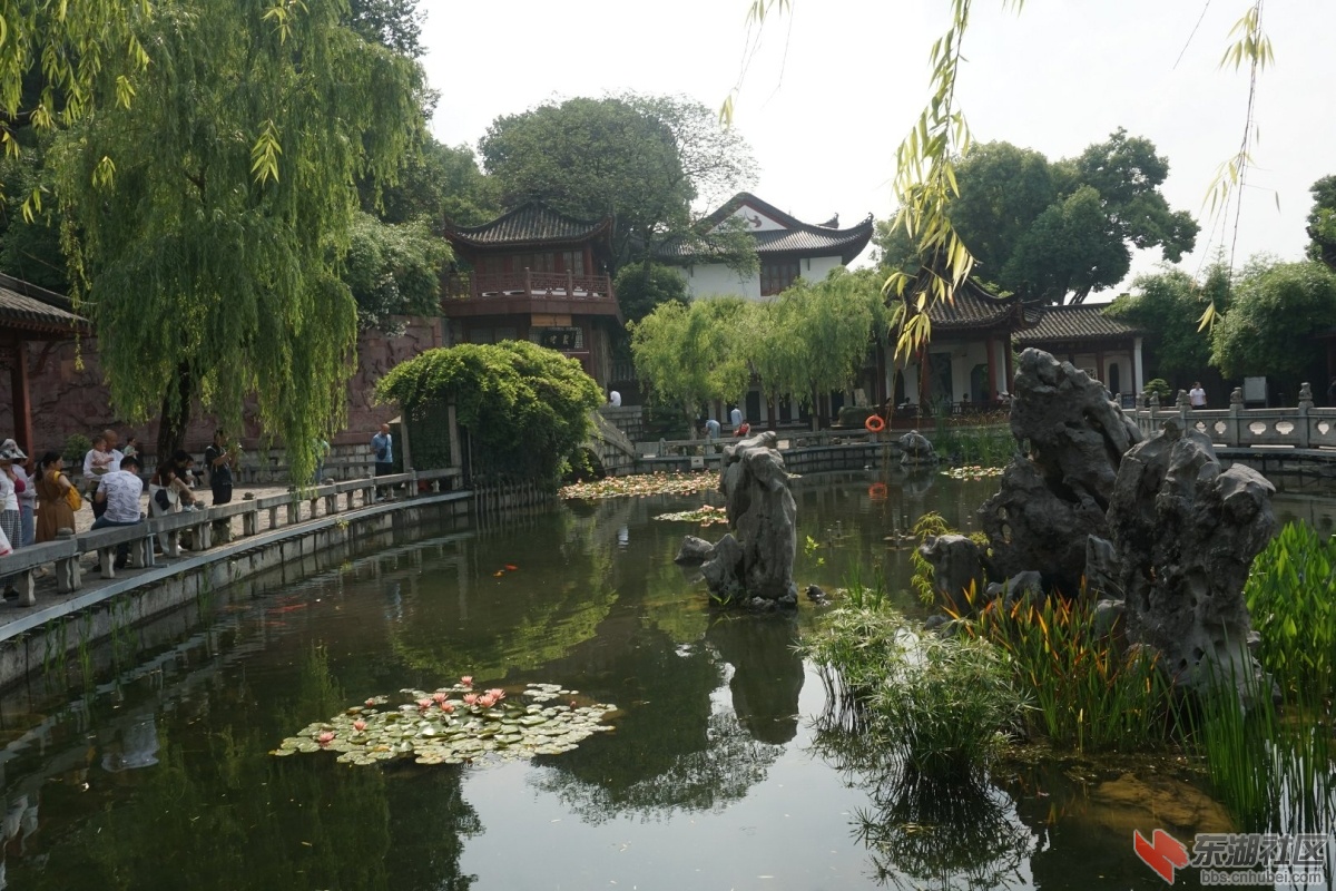 DSC01835.JPG