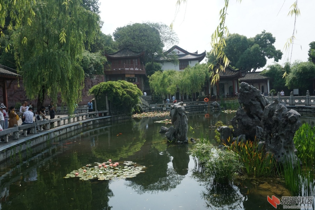 DSC01834.JPG