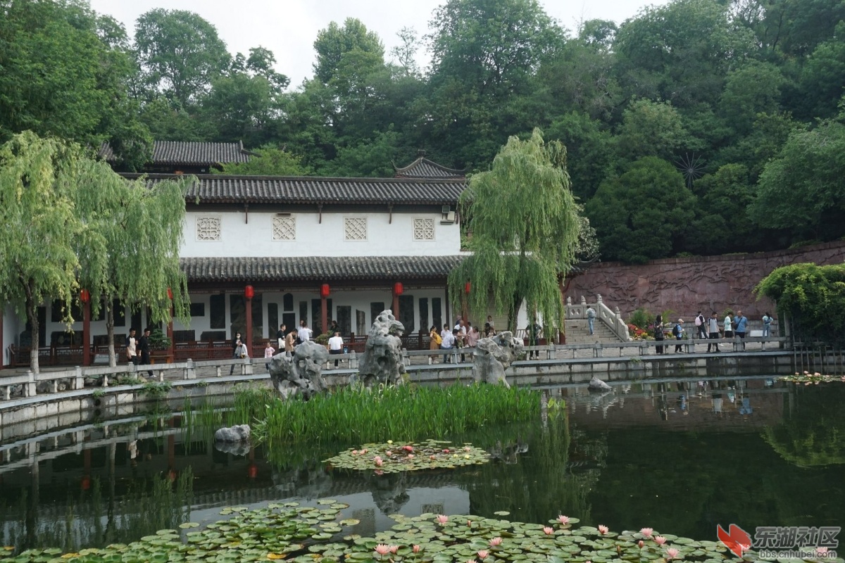 DSC01854.JPG