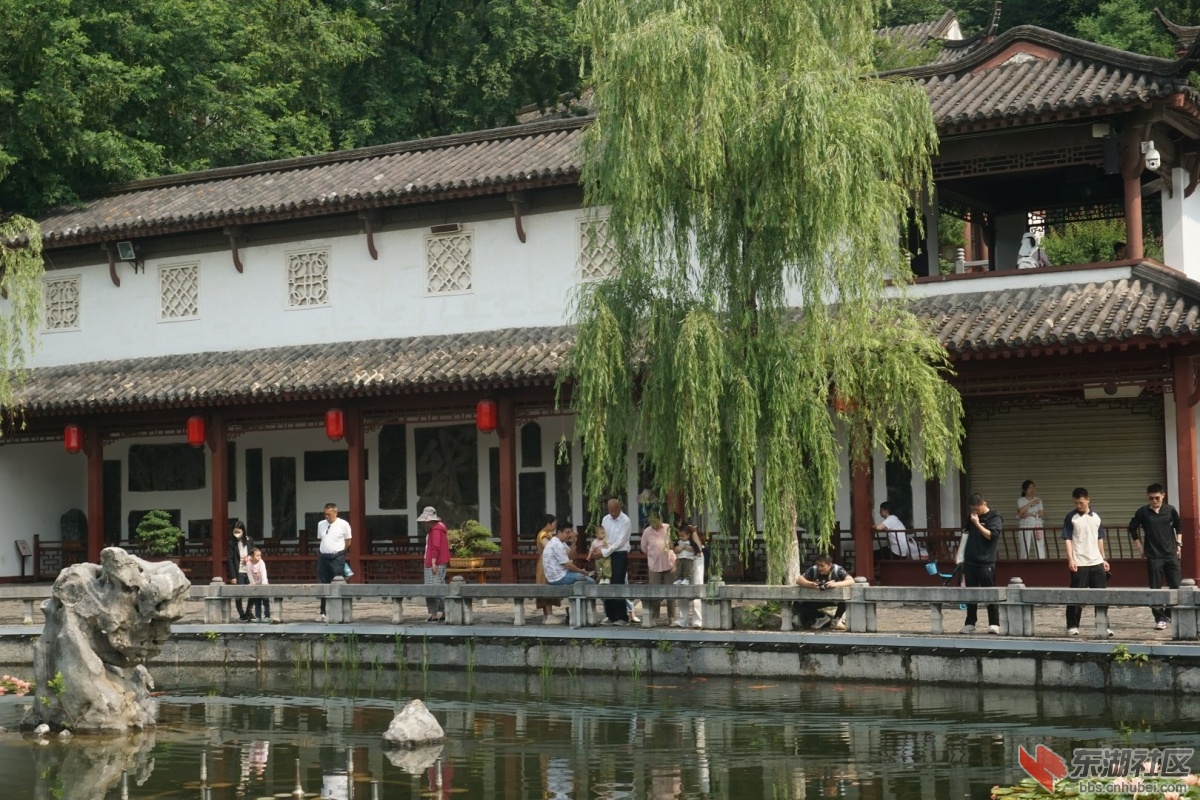 DSC01868.JPG