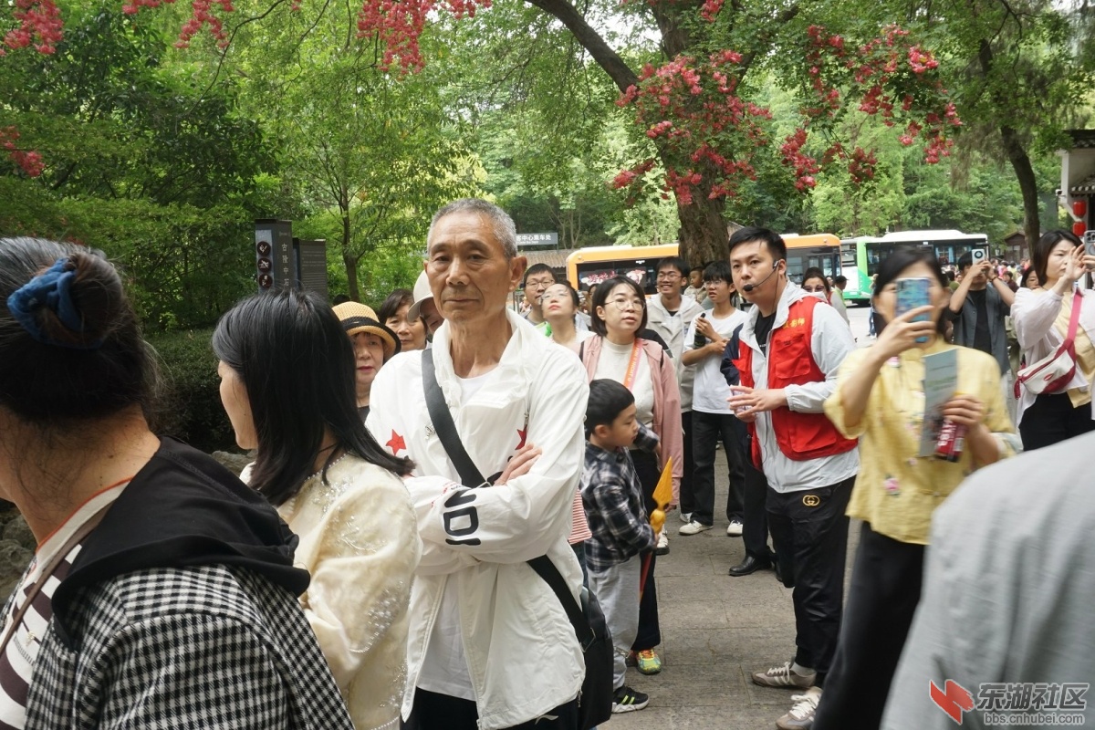 DSC08945.JPG
