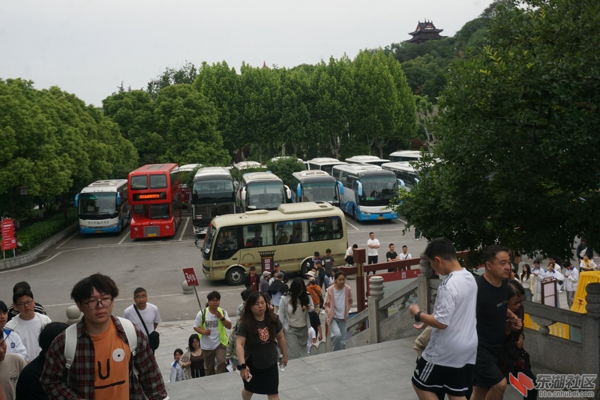 DSC02067.JPG