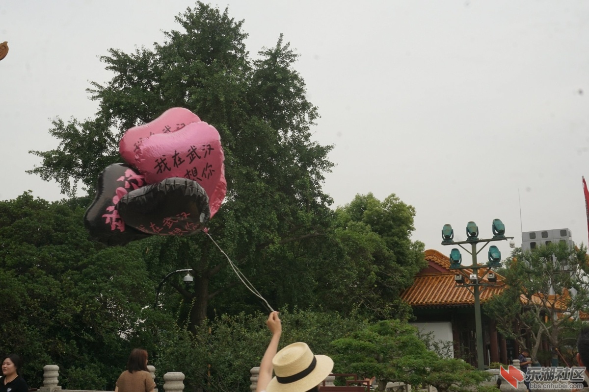 DSC06776.JPG