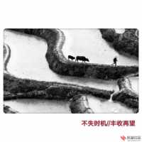 可以融合大自然了》