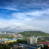 台风“山竹”过后，武汉天气晴好曾院平摄影
