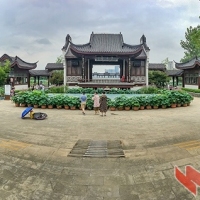 细细雨中游沙湖