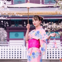 春日樱花人像