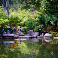郊野园林夏景秀