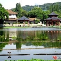 莲花湖掠影
