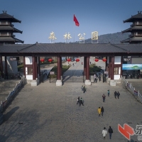 武汉东湖马鞍山森林公园成为武汉市第三个免费开园景区...
