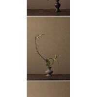 艺术插花2