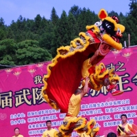 狮王争霸赛  看谁功夫硬    (组图)