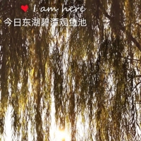 涟漪
