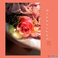 玫瑰与阳光