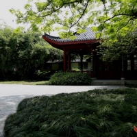 堤角公园随拍