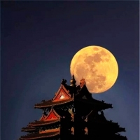 月色下的美景