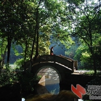校园小石桥