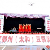 百年古镇太和豆腐美食节开幕式上的精彩表演