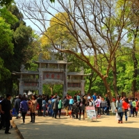 隆中春色