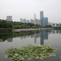 闹市里的绿洲——后襄河公园