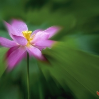 炸焦曾院平摄影