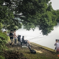 自媒体开拍记曾院平摄影