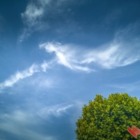 梦幻画笔绘出耀眼华丽东湖绿道上空曾院平摄影