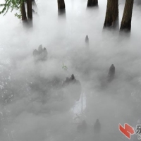 步入东湖落雁景区犹如进入仙境一般