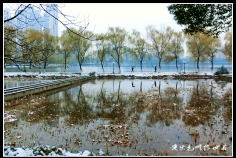 亲    雪呵。。。