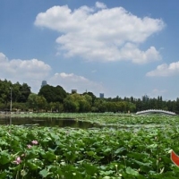 '武汉风景好美，天气好热'