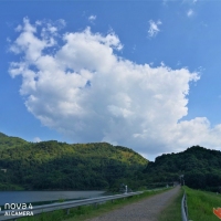 山水•田园