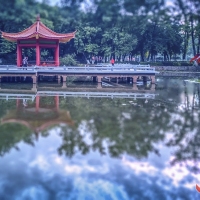 晨练曾院平摄影