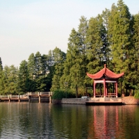 省气象局旁的美景