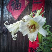 福门曾院平摄影