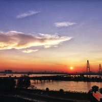 夕阳红