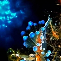 海底之花
