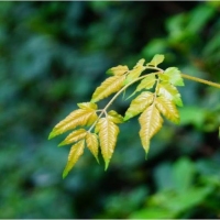 盛夏，酷暑