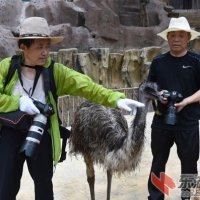 东湖鸟语林与游客互动的内容越来越受游客欢迎
